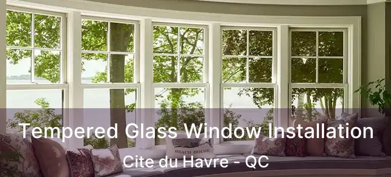  Tempered Glass Window Installation Cite du Havre - QC