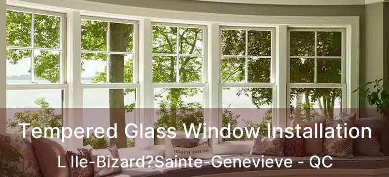  Tempered Glass Window Installation L Ile-Bizard?Sainte-Genevieve - QC
