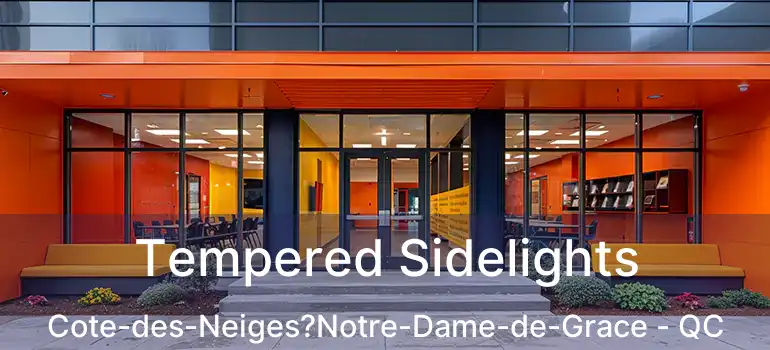  Tempered Sidelights Cote-des-Neiges?Notre-Dame-de-Grace - QC
