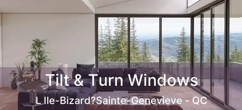  Tilt & Turn Windows L Ile-Bizard?Sainte-Genevieve - QC