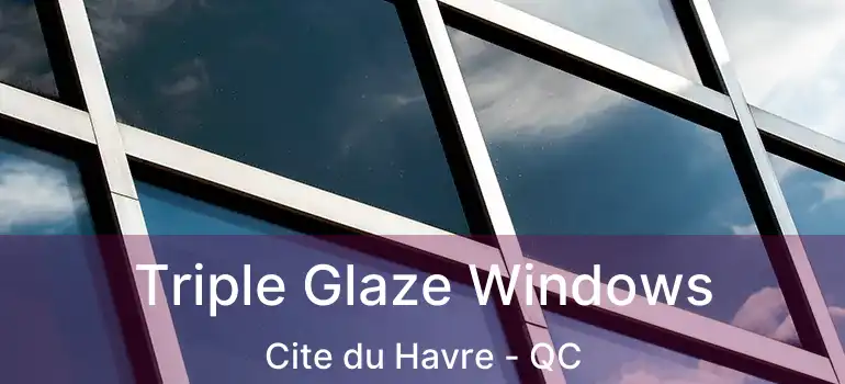  Triple Glaze Windows Cite du Havre - QC