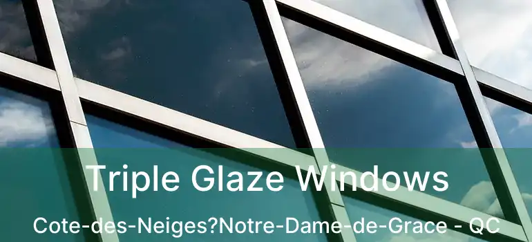  Triple Glaze Windows Cote-des-Neiges?Notre-Dame-de-Grace - QC