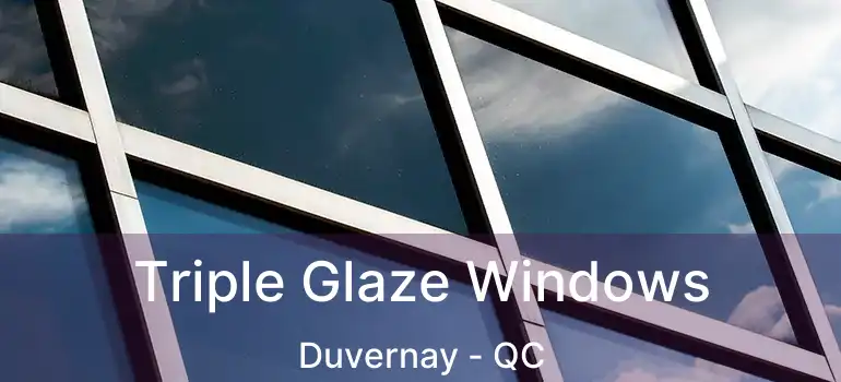  Triple Glaze Windows Duvernay - QC