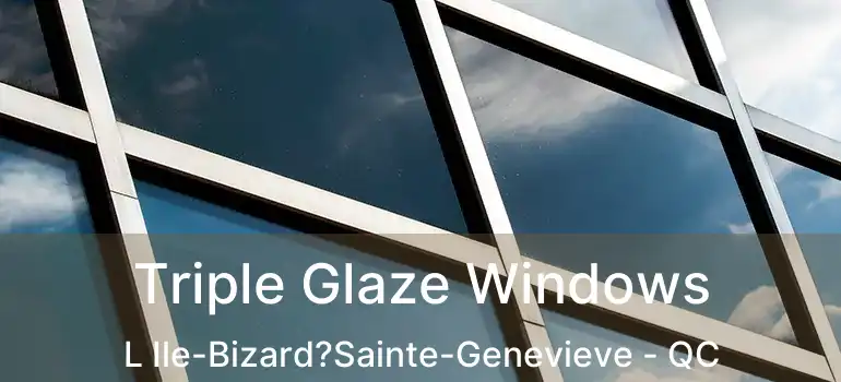  Triple Glaze Windows L Ile-Bizard?Sainte-Genevieve - QC