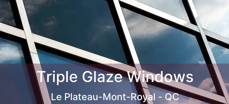  Triple Glaze Windows Le Plateau-Mont-Royal - QC