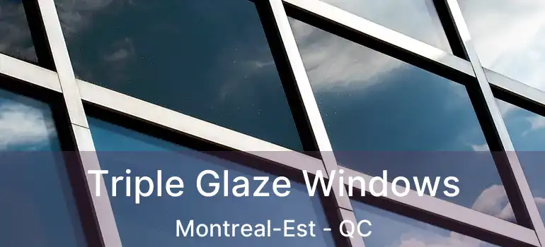  Triple Glaze Windows Montreal-Est - QC