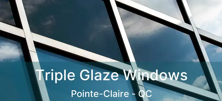  Triple Glaze Windows Pointe-Claire - QC