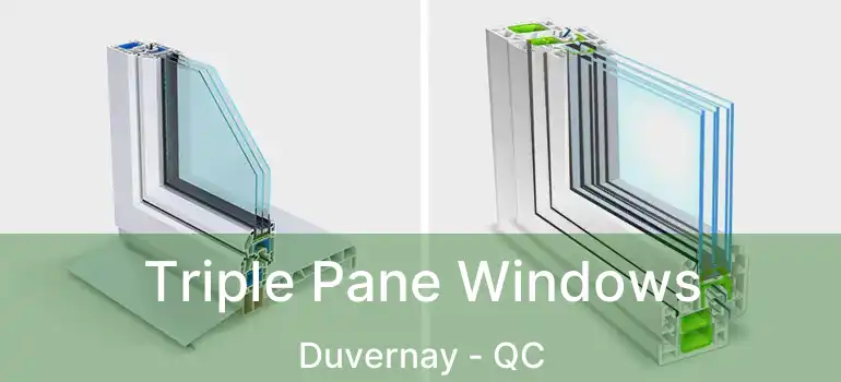  Triple Pane Windows Duvernay - QC