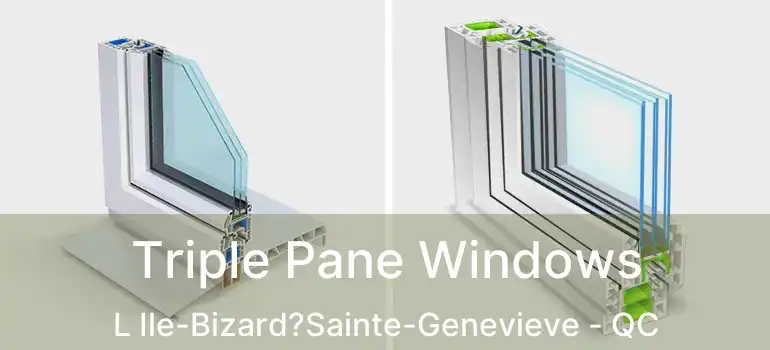  Triple Pane Windows L Ile-Bizard?Sainte-Genevieve - QC