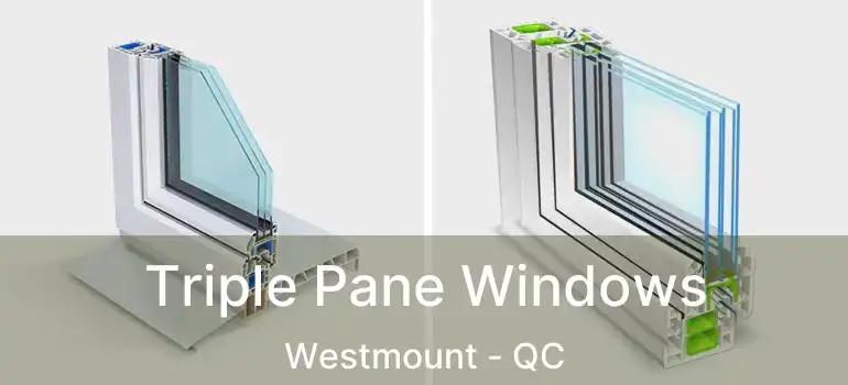  Triple Pane Windows Westmount - QC