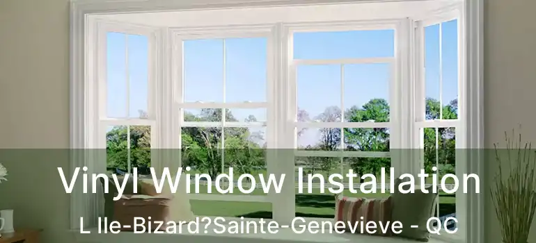  Vinyl Window Installation L Ile-Bizard?Sainte-Genevieve - QC