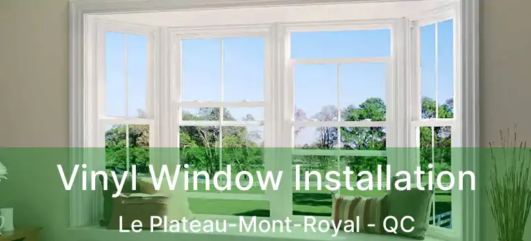  Vinyl Window Installation Le Plateau-Mont-Royal - QC