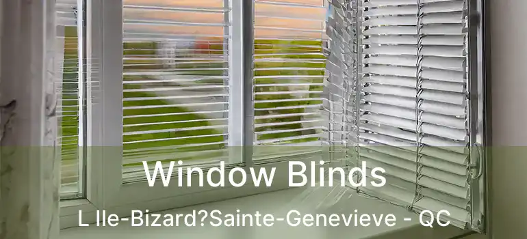  Window Blinds L Ile-Bizard?Sainte-Genevieve - QC