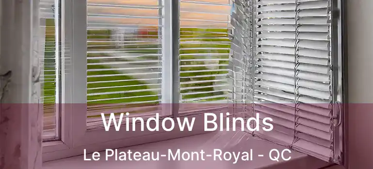  Window Blinds Le Plateau-Mont-Royal - QC