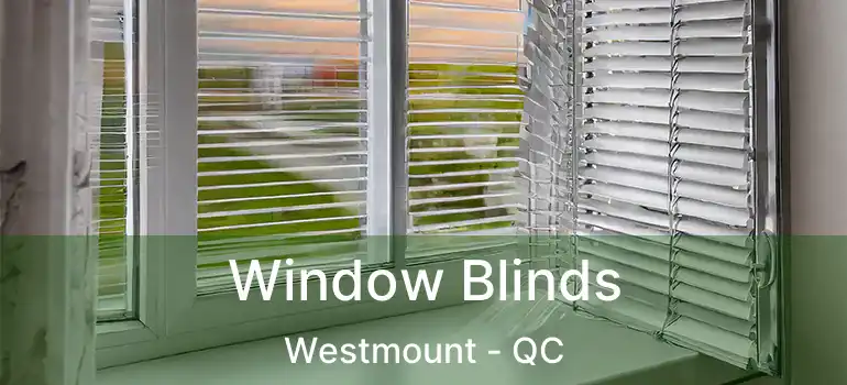  Window Blinds Westmount - QC