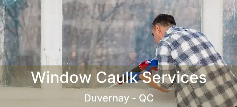  Window Caulk Services Duvernay - QC