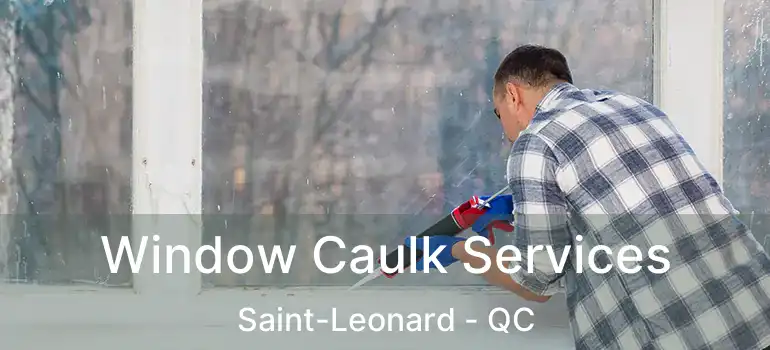  Window Caulk Services Saint-Leonard - QC