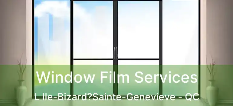  Window Film Services L Ile-Bizard?Sainte-Genevieve - QC