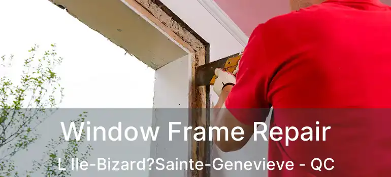  Window Frame Repair L Ile-Bizard?Sainte-Genevieve - QC