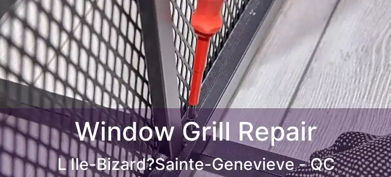  Window Grill Repair L Ile-Bizard?Sainte-Genevieve - QC