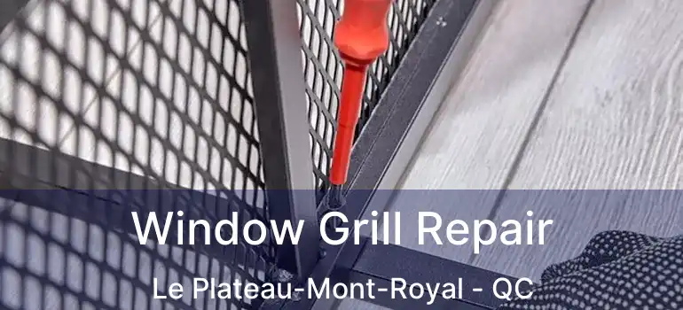  Window Grill Repair Le Plateau-Mont-Royal - QC