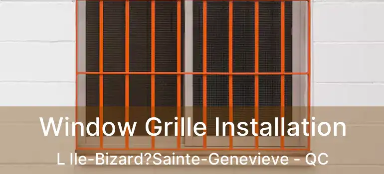  Window Grille Installation L Ile-Bizard?Sainte-Genevieve - QC