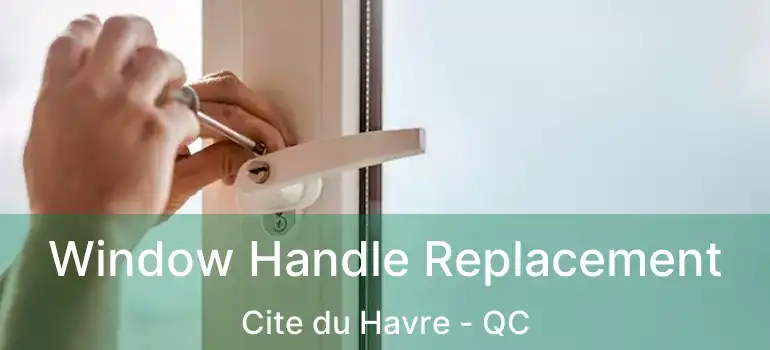  Window Handle Replacement Cite du Havre - QC