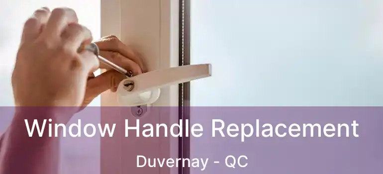  Window Handle Replacement Duvernay - QC