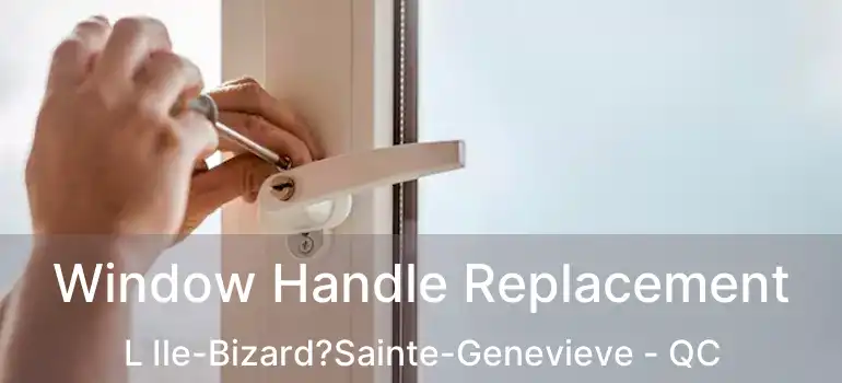  Window Handle Replacement L Ile-Bizard?Sainte-Genevieve - QC