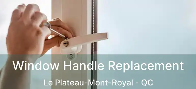  Window Handle Replacement Le Plateau-Mont-Royal - QC