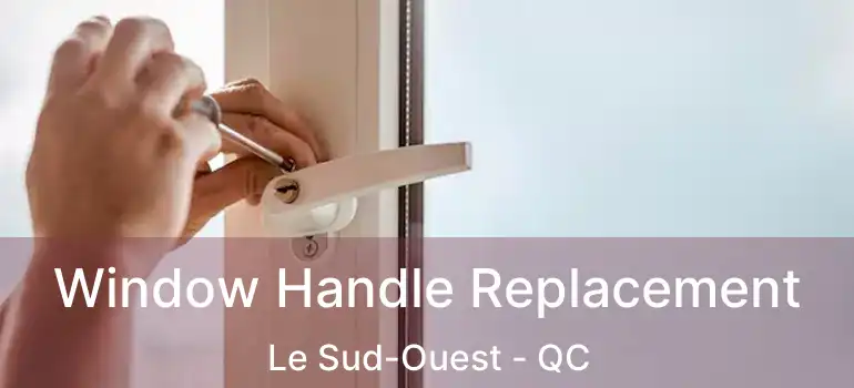  Window Handle Replacement Le Sud-Ouest - QC