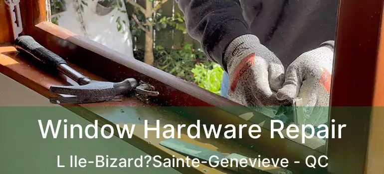  Window Hardware Repair L Ile-Bizard?Sainte-Genevieve - QC