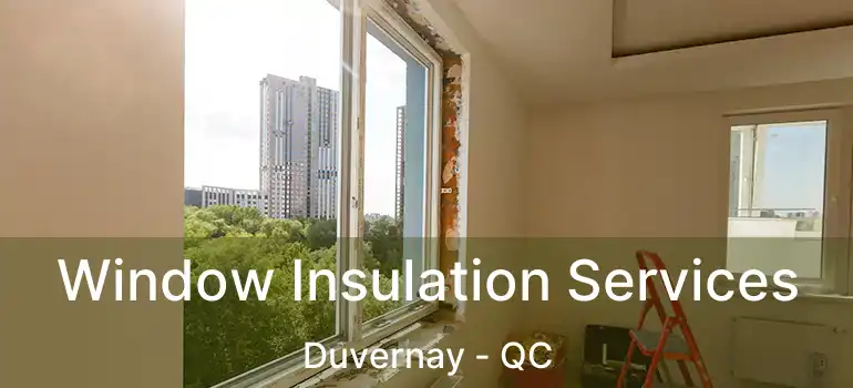  Window Insulation Services Duvernay - QC