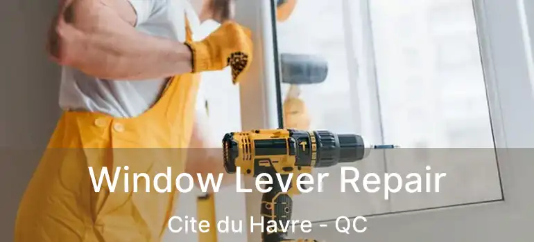  Window Lever Repair Cite du Havre - QC