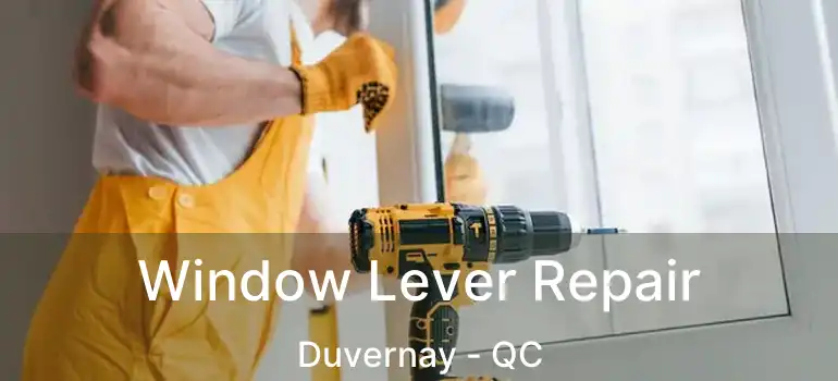  Window Lever Repair Duvernay - QC