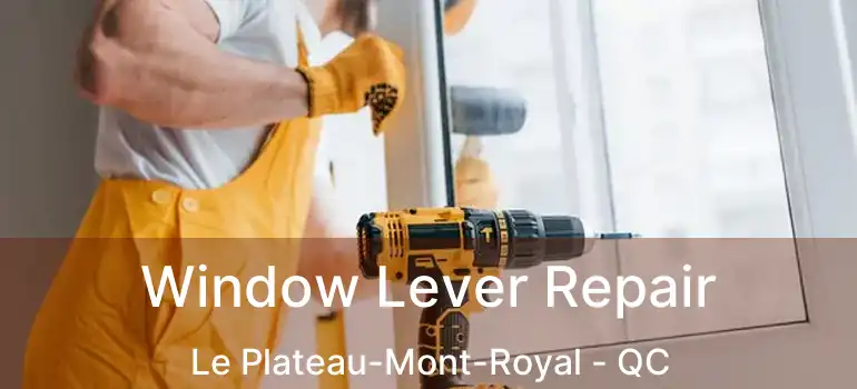  Window Lever Repair Le Plateau-Mont-Royal - QC