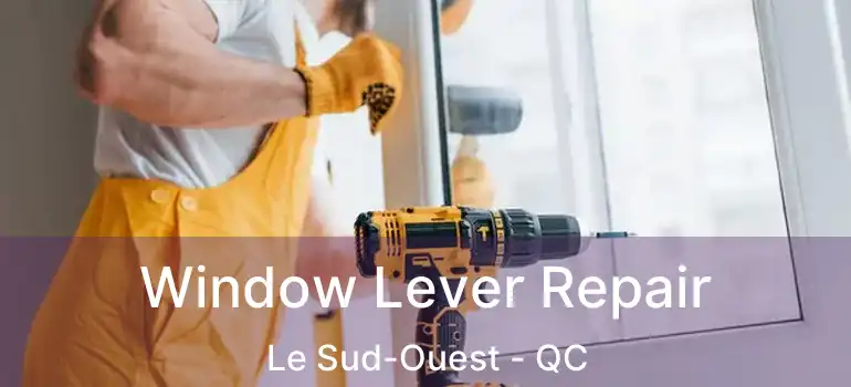  Window Lever Repair Le Sud-Ouest - QC