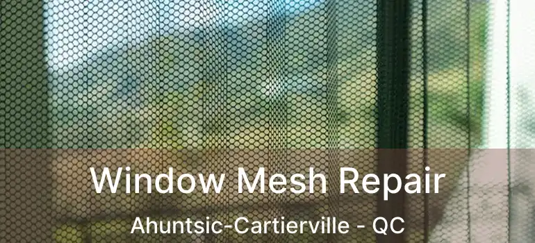  Window Mesh Repair Ahuntsic-Cartierville - QC