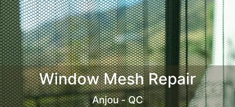  Window Mesh Repair Anjou - QC