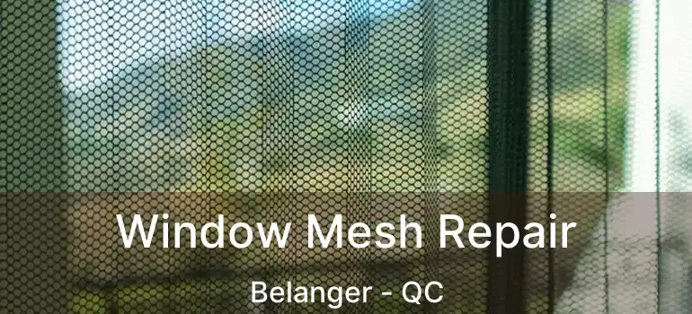  Window Mesh Repair Belanger - QC