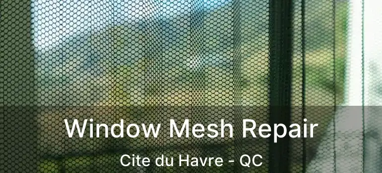  Window Mesh Repair Cite du Havre - QC