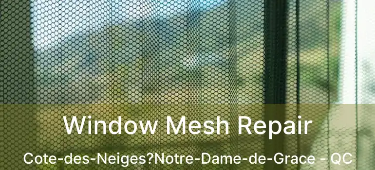  Window Mesh Repair Cote-des-Neiges?Notre-Dame-de-Grace - QC