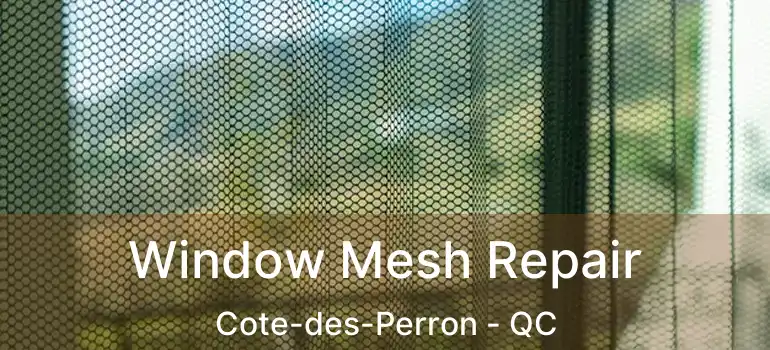  Window Mesh Repair Cote-des-Perron - QC