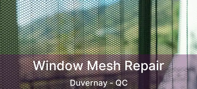  Window Mesh Repair Duvernay - QC