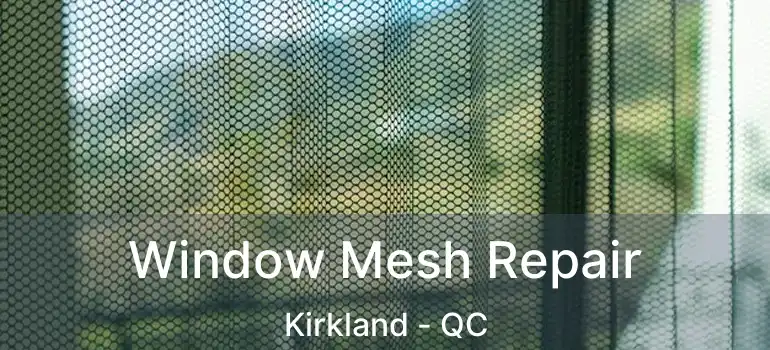  Window Mesh Repair Kirkland - QC