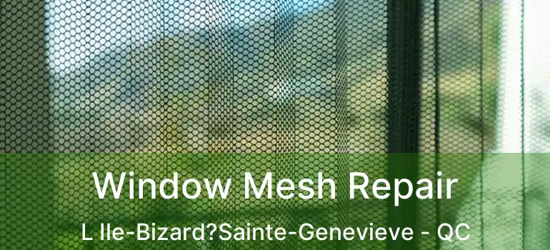  Window Mesh Repair L Ile-Bizard?Sainte-Genevieve - QC
