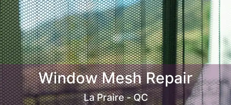  Window Mesh Repair La Praire - QC