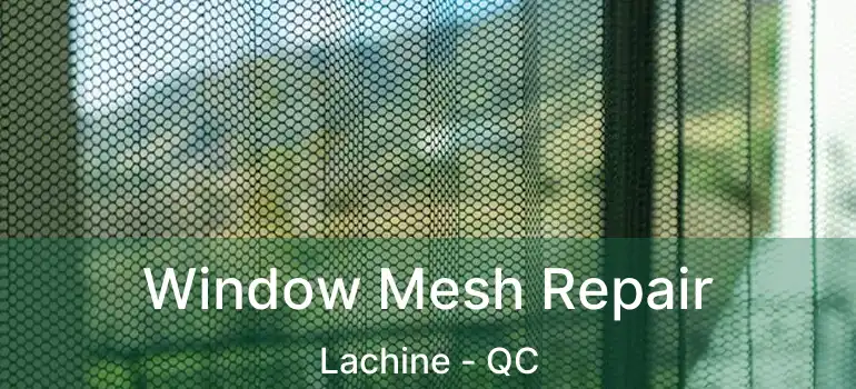  Window Mesh Repair Lachine - QC