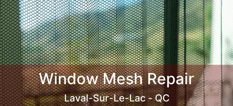  Window Mesh Repair Laval-Sur-Le-Lac - QC