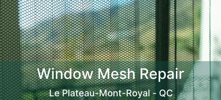  Window Mesh Repair Le Plateau-Mont-Royal - QC